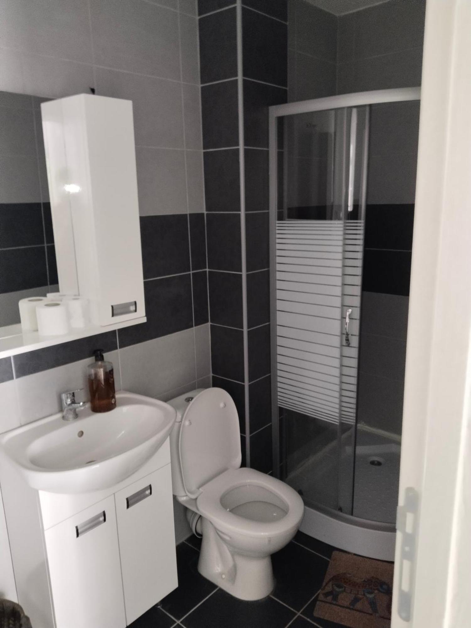 Sandra Apartmani Vrsac Room photo